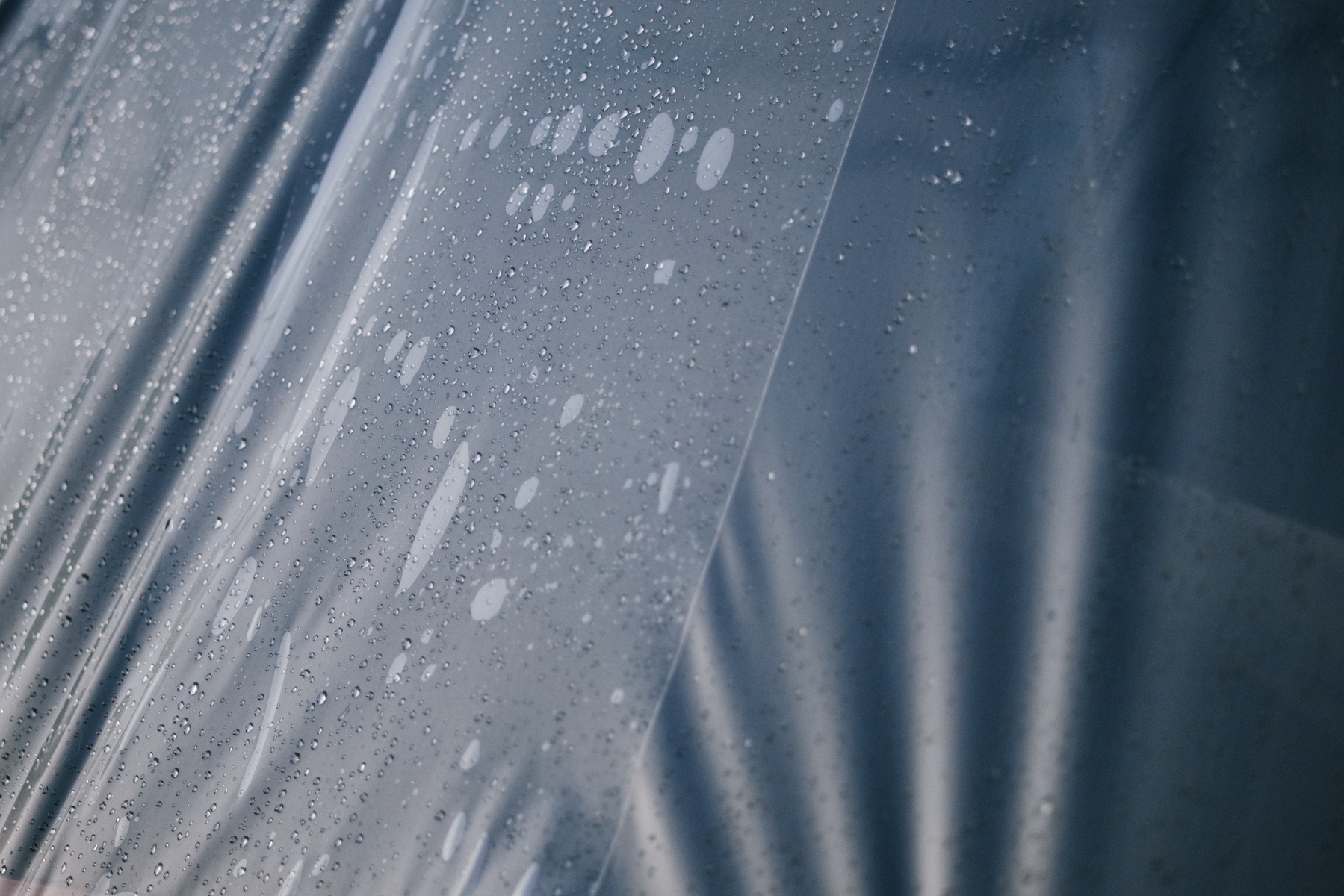 Water droplets on a plastic sheet reflect the sunset.